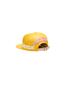 BETTER - VINTAGE HAT