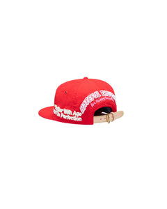 BETTER VINTAGE HAT