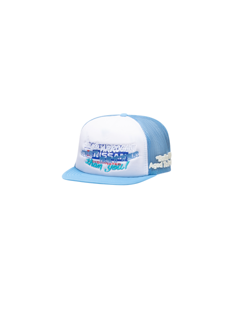BETTER VINTAGE HAT