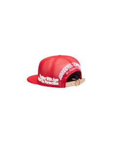 BETTER VINTAGE HAT
