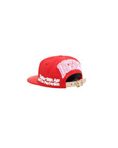 PSYCHO - VINTAGE HAT