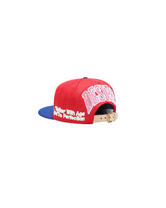 PSYCHO - VINTAGE HAT