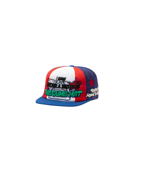 DUMB VINTAGE HAT