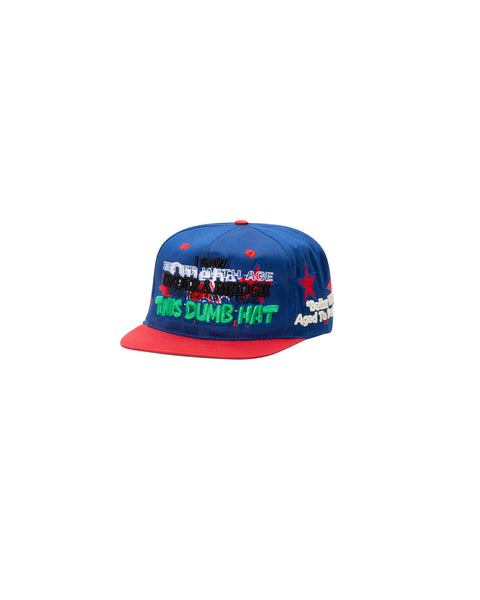 DUMB VINTAGE HAT