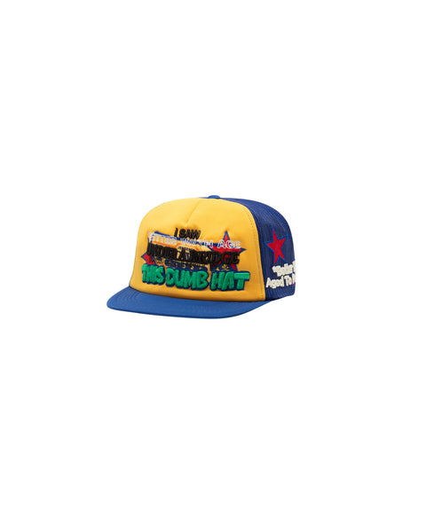 DUMB VINTAGE HAT