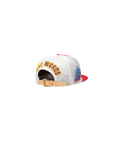 DUNCE VINTAGE HAT