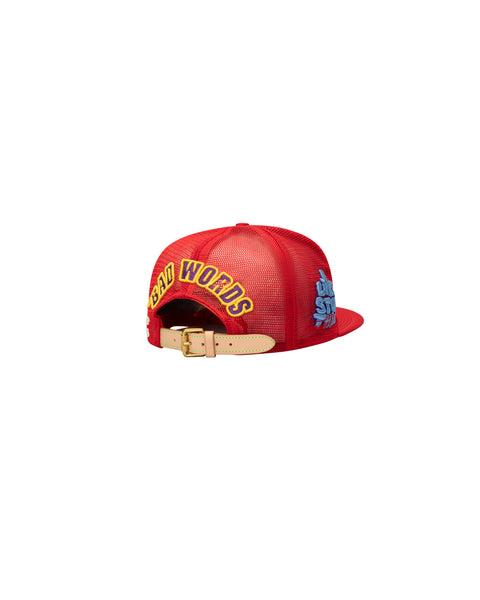 DUNCE VINTAGE HAT