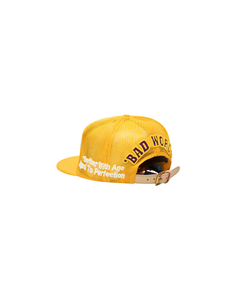 DUNCE VINTAGE HAT