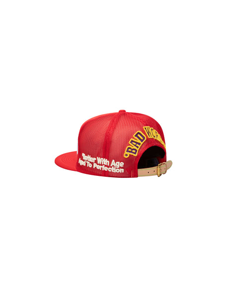 DUNCE VINTAGE HAT