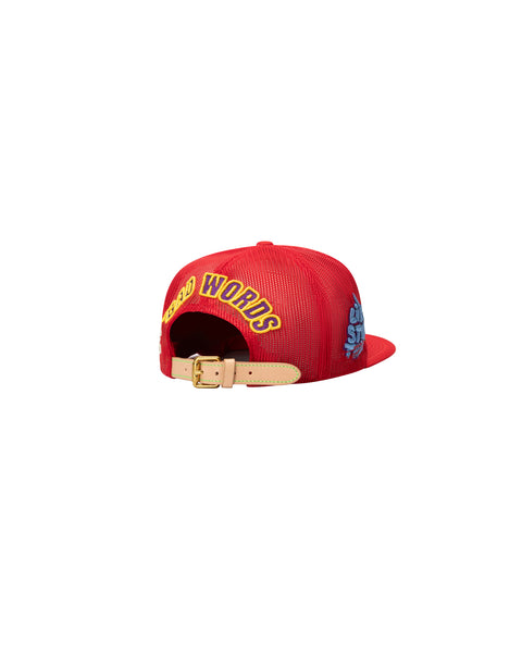 DUNCE VINTAGE HAT