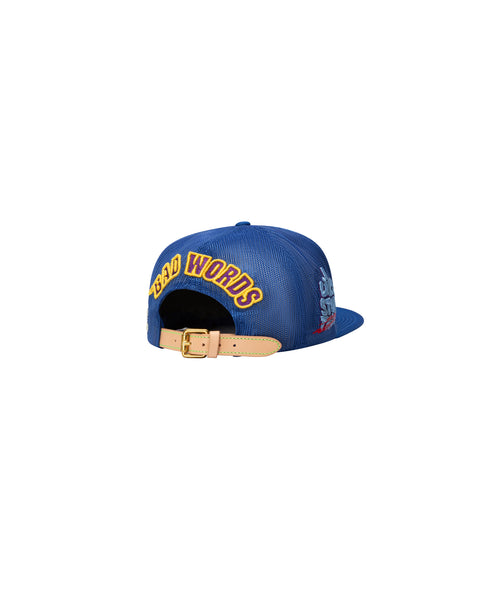 DUNCE VINTAGE HAT