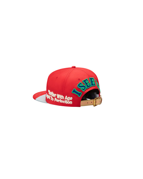 PARTY VINTAGE REPAIR HAT