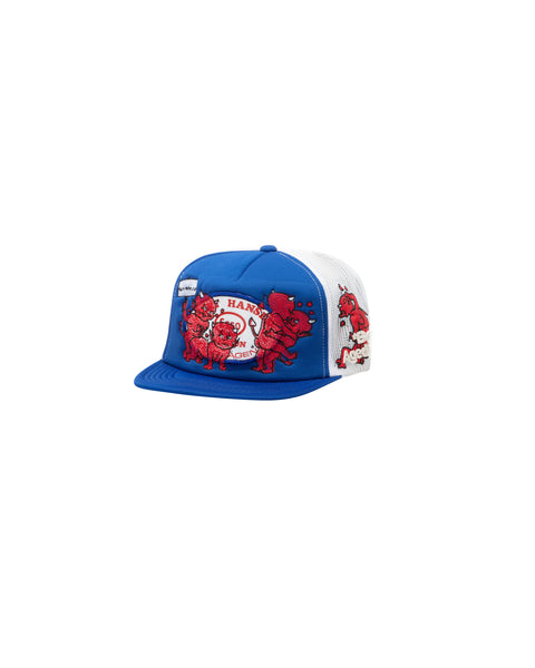 SAINT LUCIE VINTAGE HAT