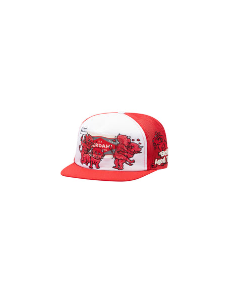 SAINT LUCIE VINTAGE HAT