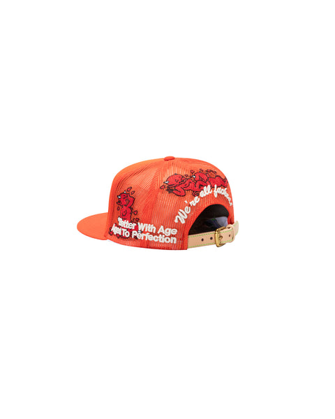 SAINT LUCIE VINTAGE HAT