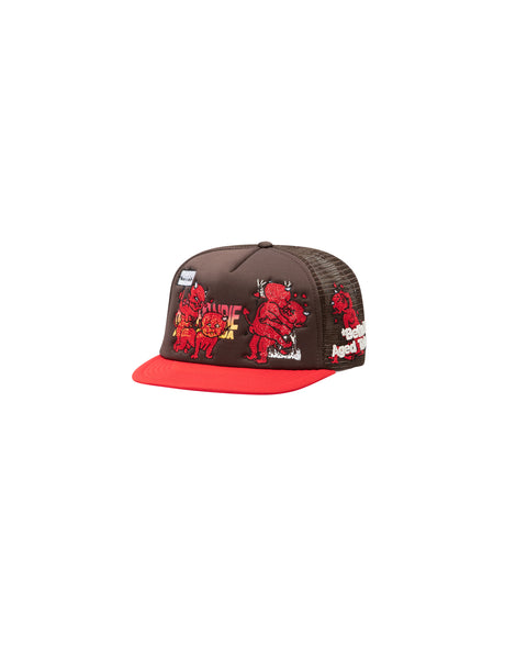 SAINT LUCIE VINTAGE HAT