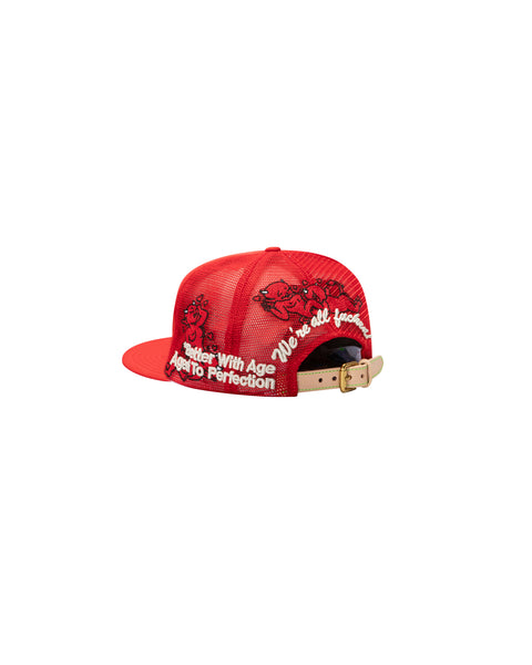 SAINT LUCIE VINTAGE HAT
