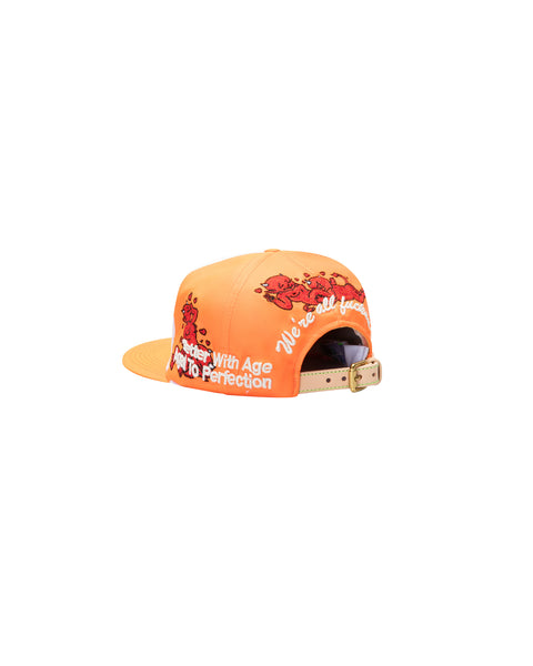 SAINT LUCIE VINTAGE HAT