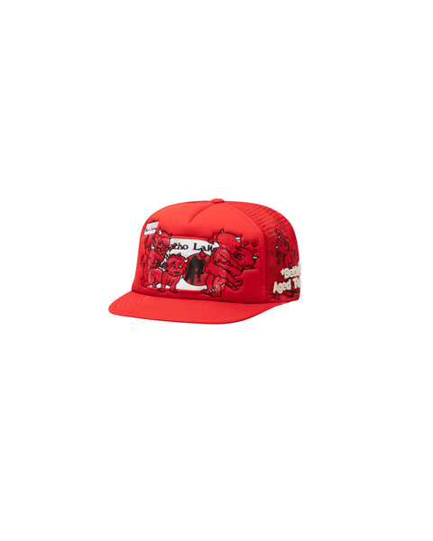 SAINT LUCIE VINTAGE HAT